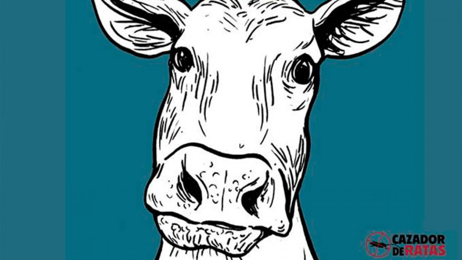 Presentación del libro ¿Alguna vez te miró una vaca de frente?