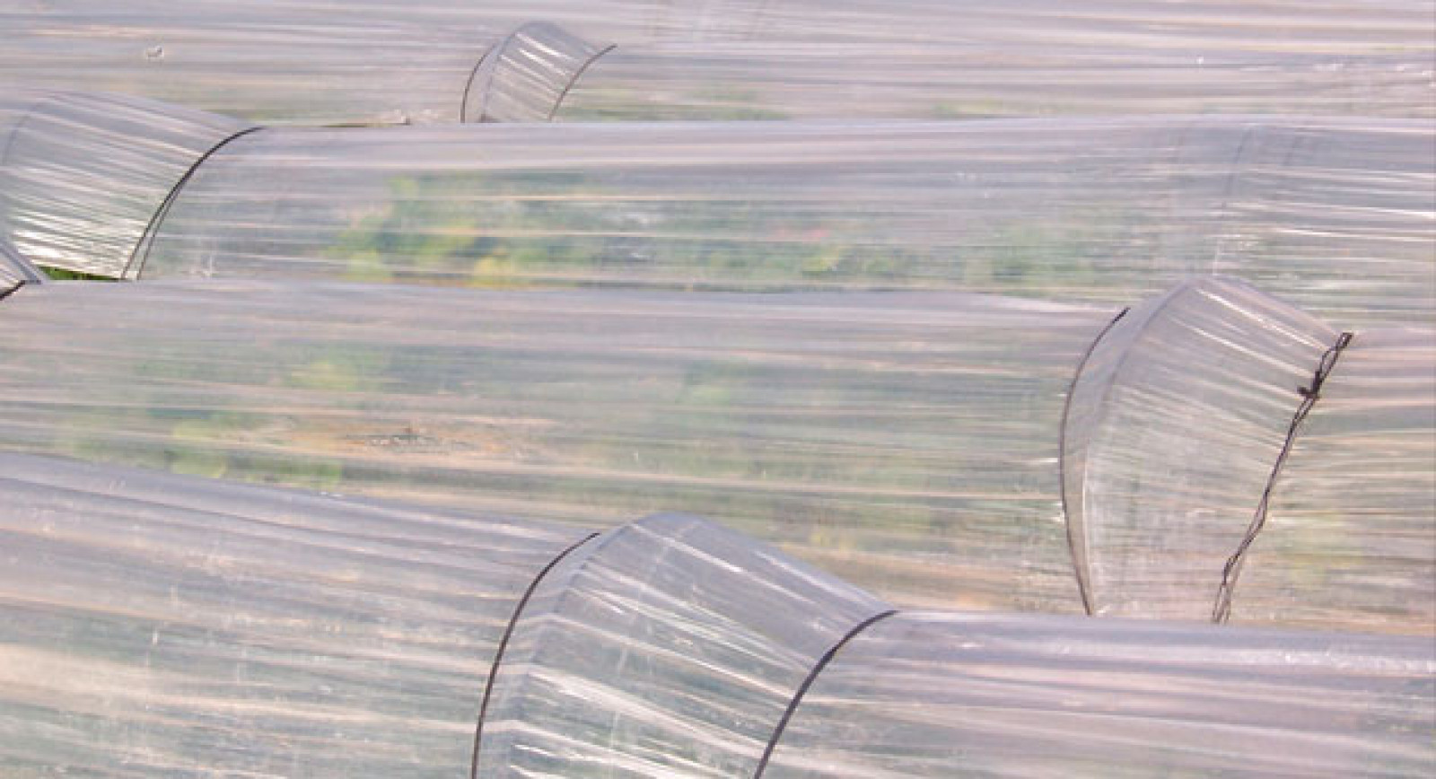 Los costes ocultos de la agricultura industrial, por Javier Calatrava.