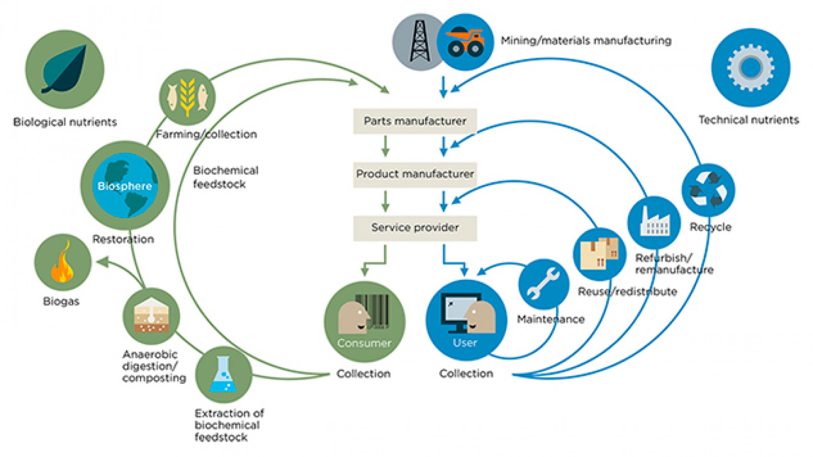 Economía circular: rediseñando el progreso