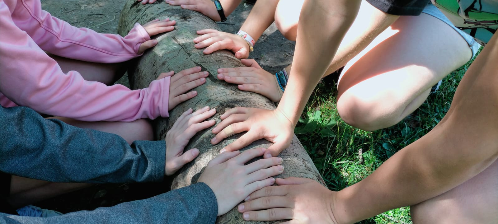 Campamento 'Descubre tu naturaleza', de 13 a 17 años. Turno 2