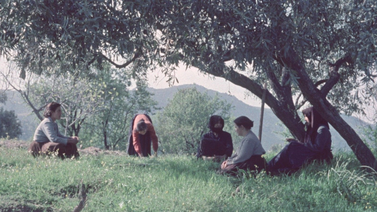 Un giorno in Barbagia (Vittorio de Seta, 1958) 