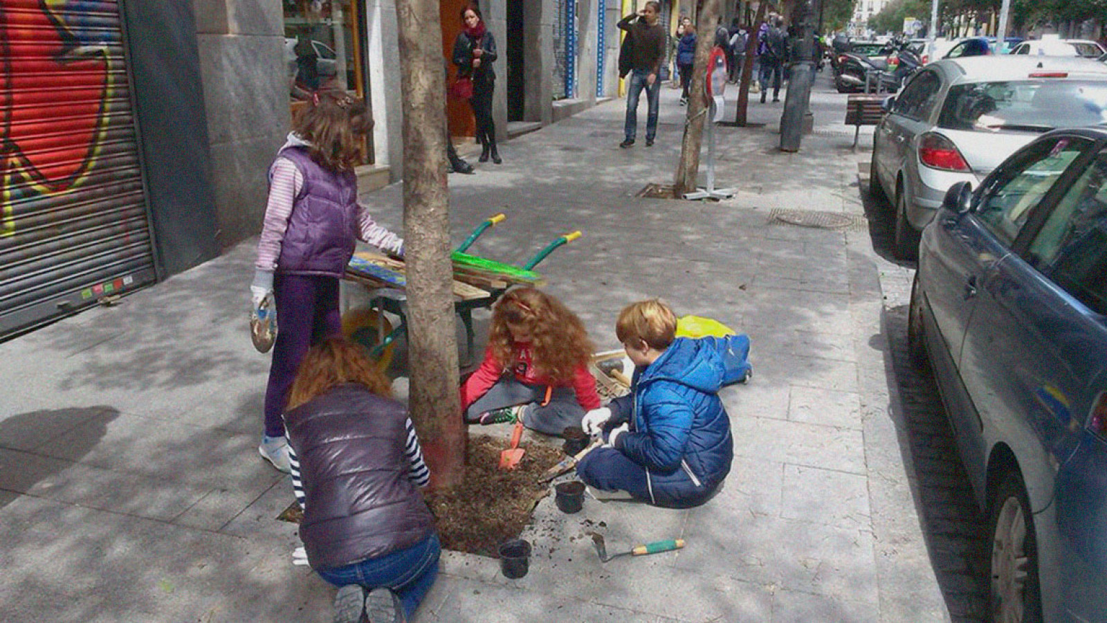 Tree Well–Well Tree. Hands-on outdoor activity for children