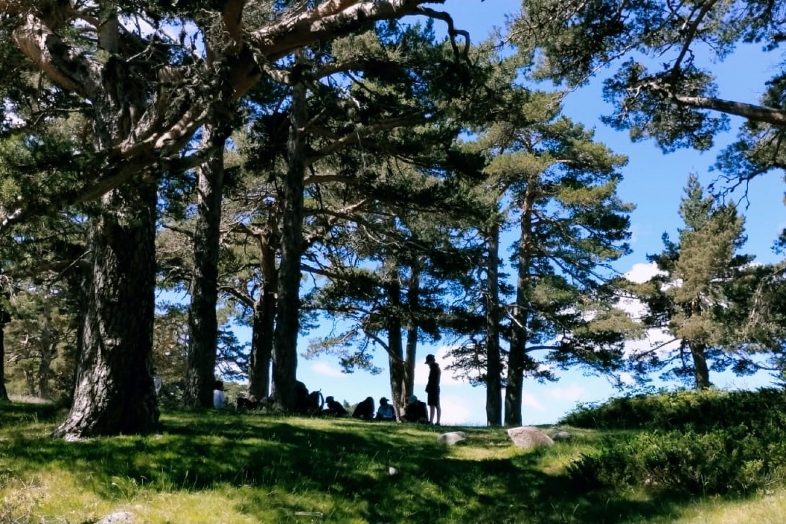 Campamento 'Descubre tu naturaleza'. 1º turno