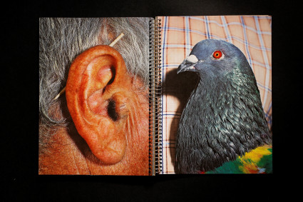 Libro Libre Libro Libre
