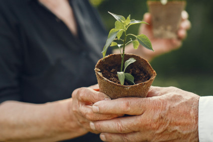 Huertos y jardines terapéuticos, una mejora del bienestar