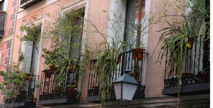 Mi balcón: un jardín en menos de 1m2