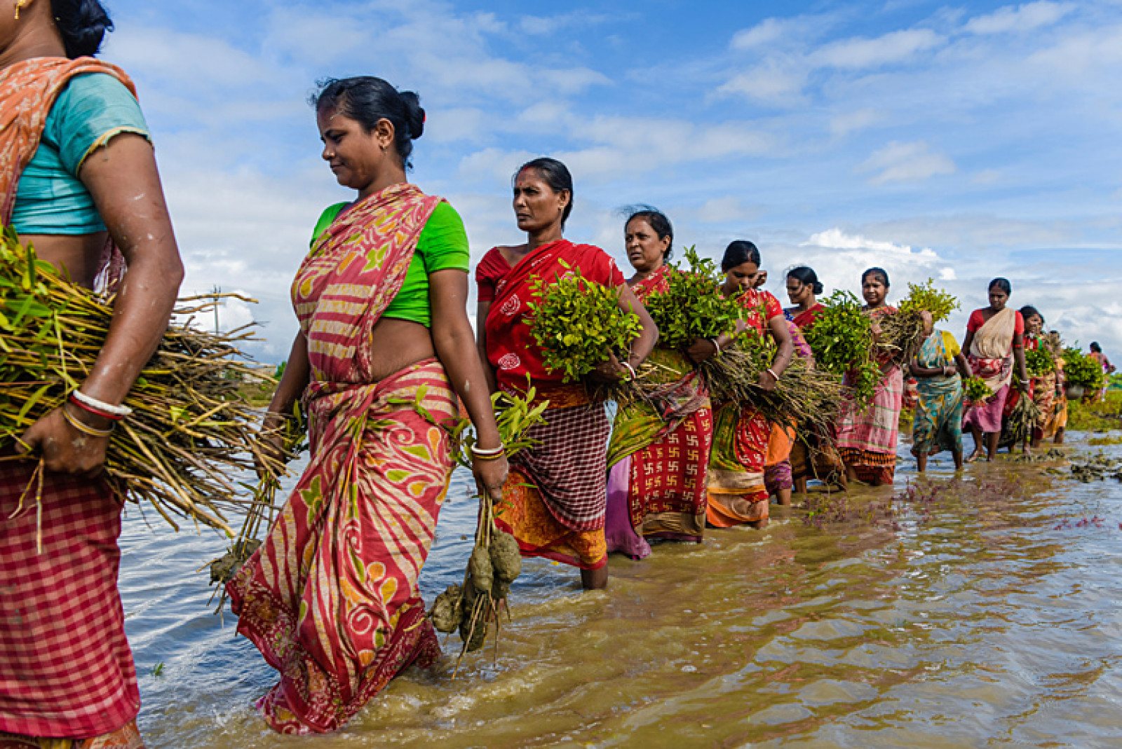 © Avijit Ghosh_Climate Visuals