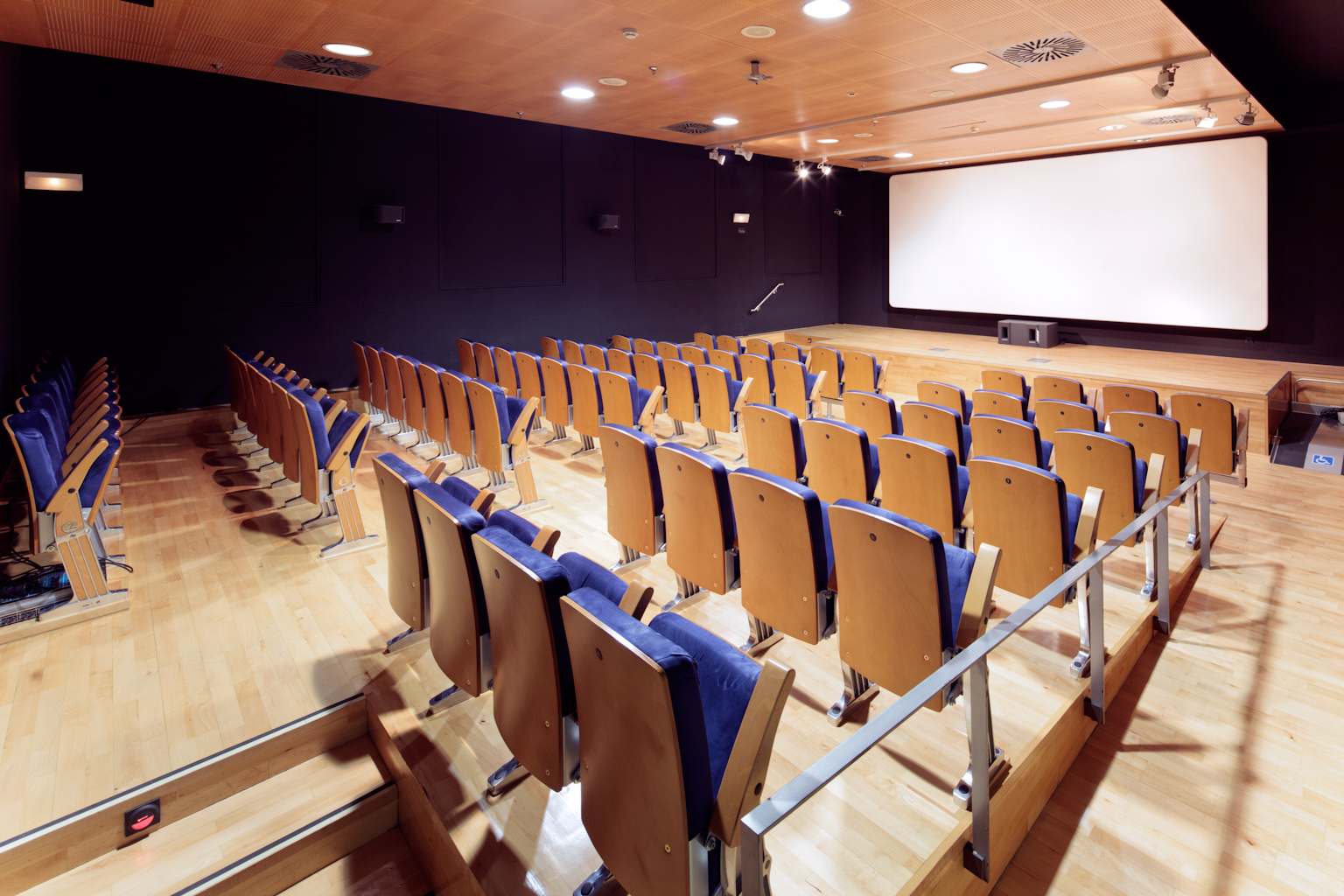 Screening Room / Cinema