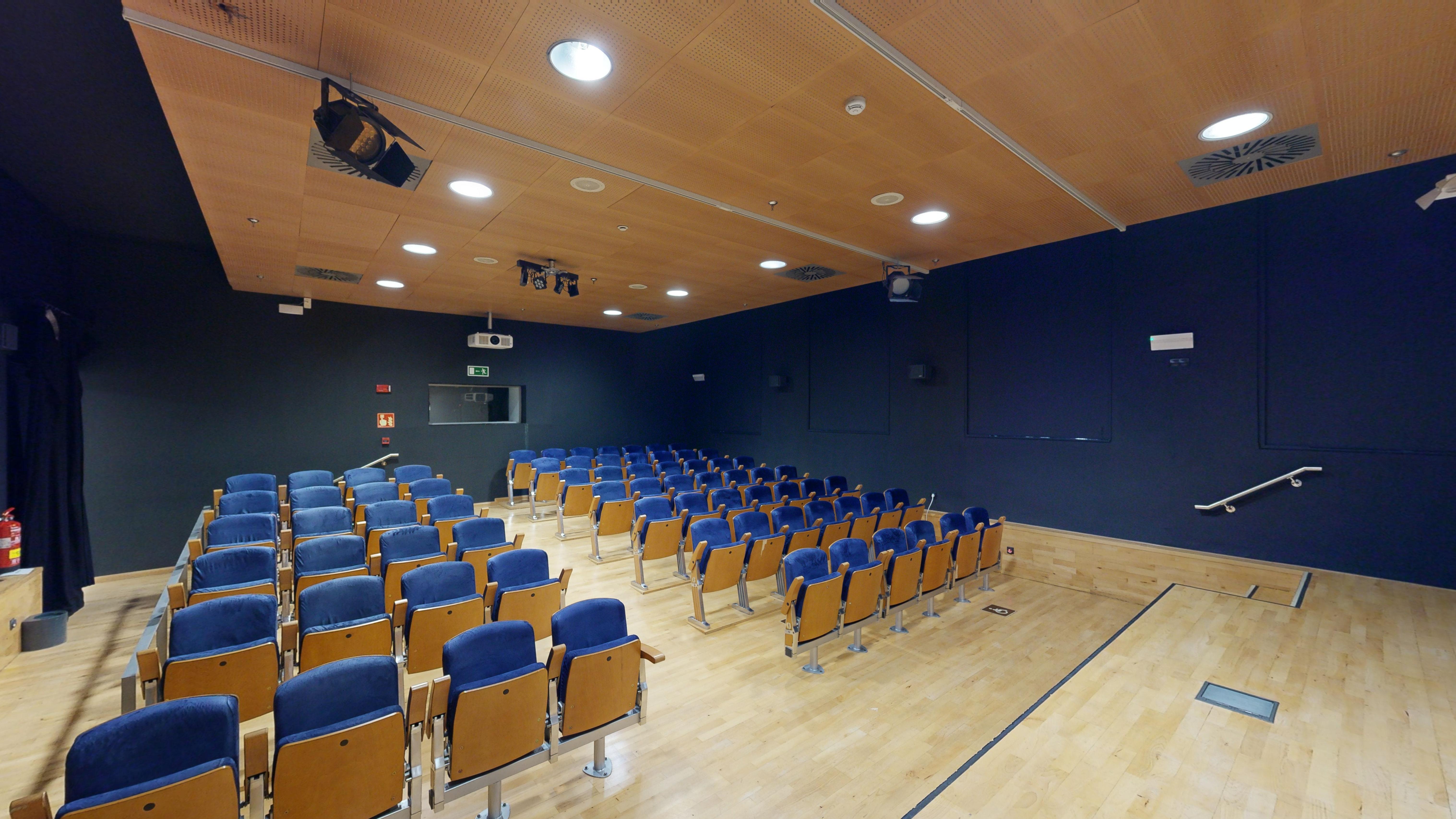 Screening Room / Cinema