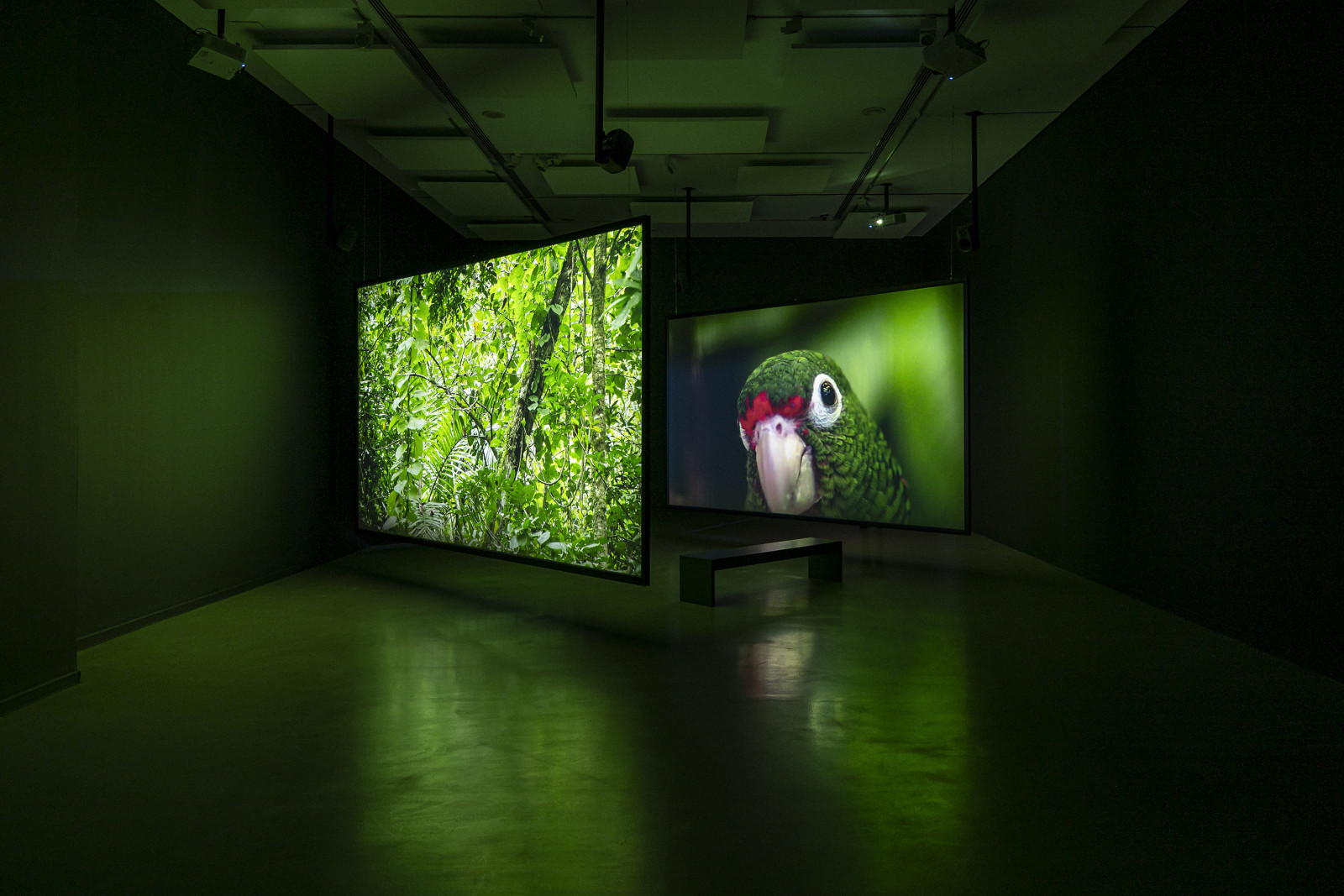 El gran silencio, Allora & Calzadilla/ La Casa Encendida, Maru Serrano