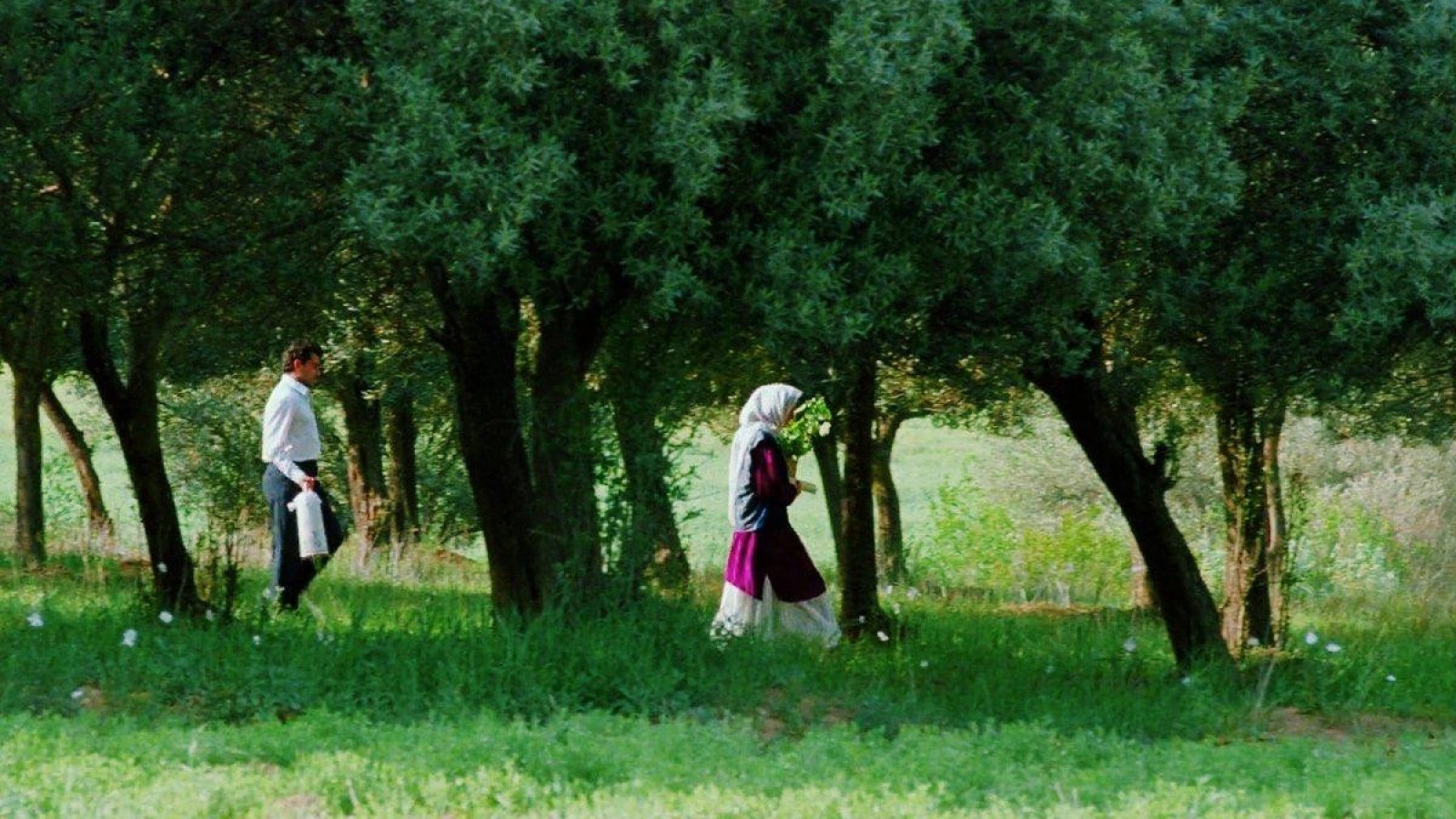 A través de los olivos, de Abbas Kiarostami