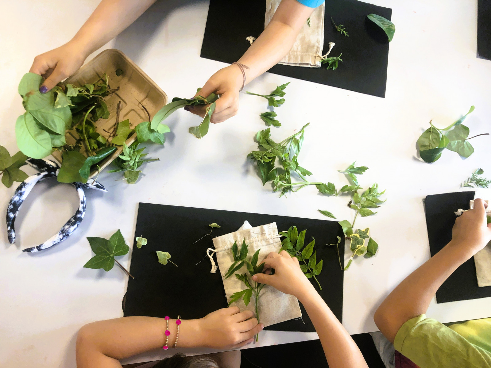 Campamento 'Vivir la naturaleza', de 10 a 12 años