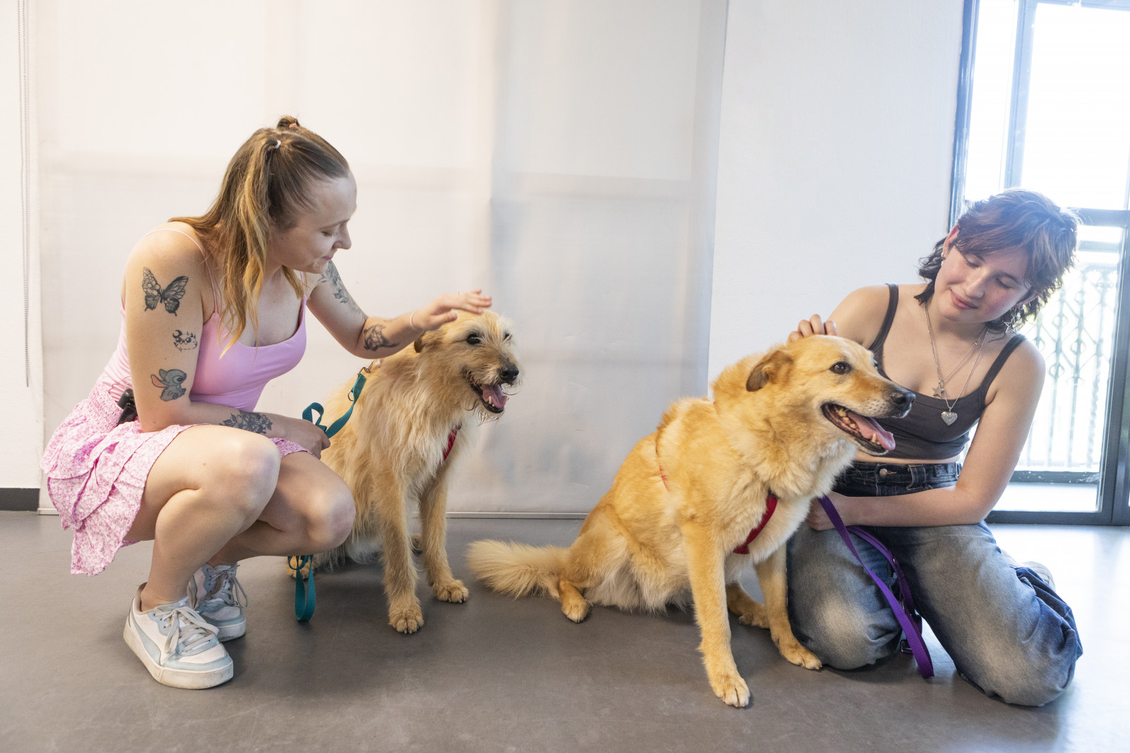 Autocuidado y entrenamiento de perros en adopción con jóvenes 2025