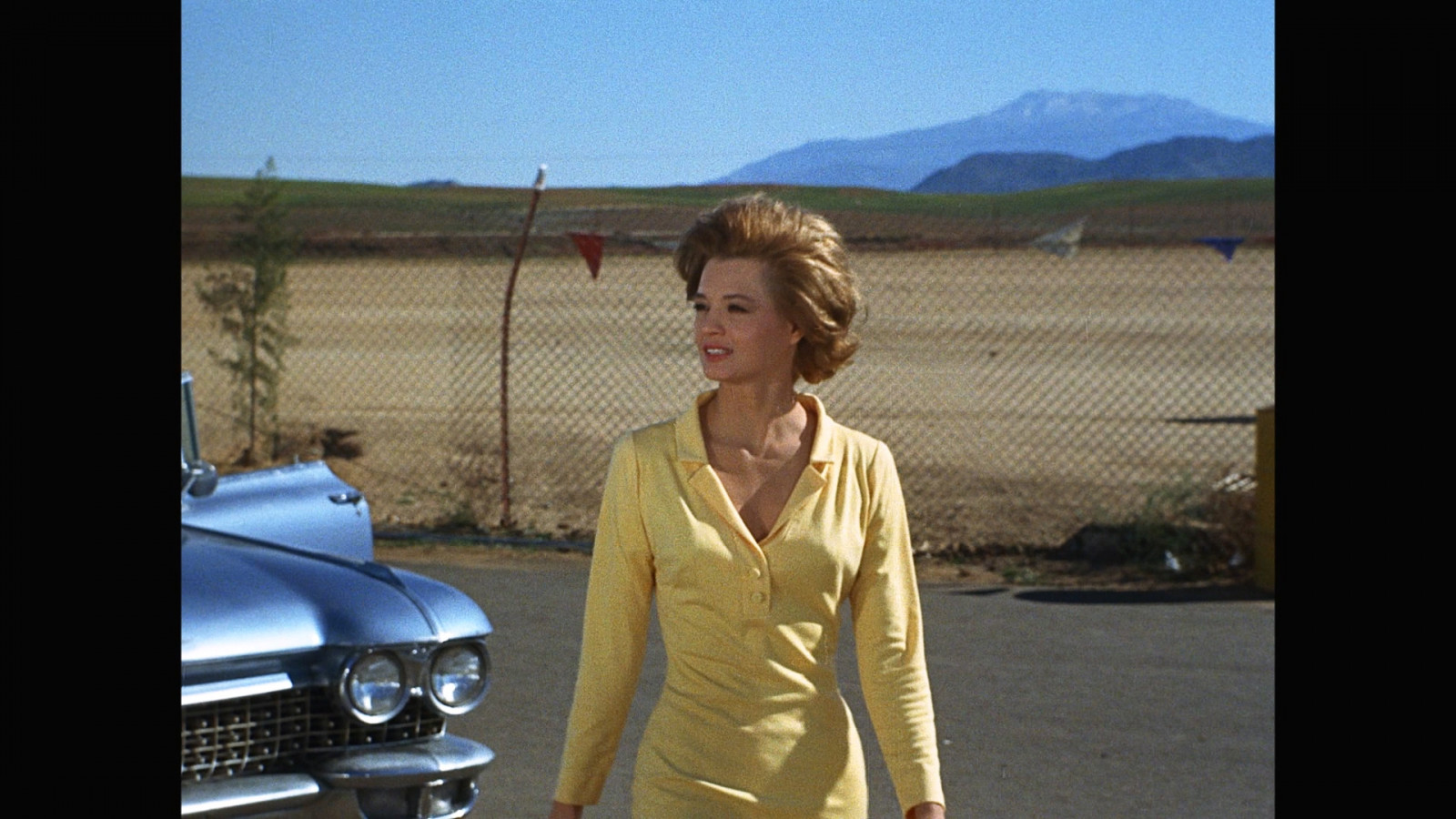 The Woman in the Yellow Dress
