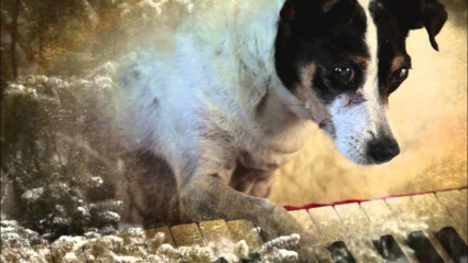 Heart of a Dog, de Laurie Anderson Heart of a Dog, de Laurie Anderson