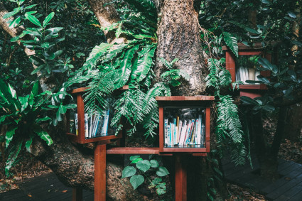 Ecoclub de lectura