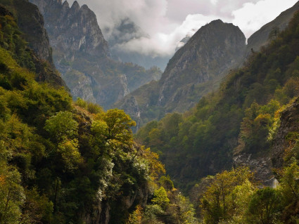 'Cordillera', de Marta del Riego Anta