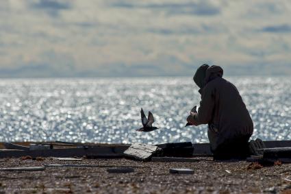 ‘The Birdman of Cooper Island’, de Kevin McMahon