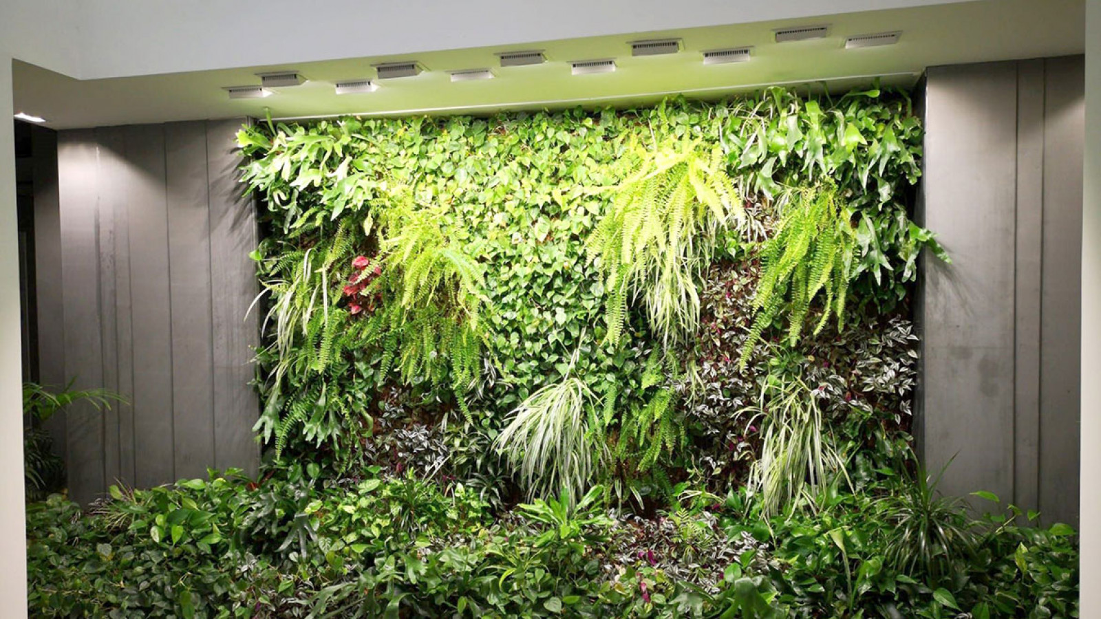 Taller 'Pon un jardín vertical en casa'