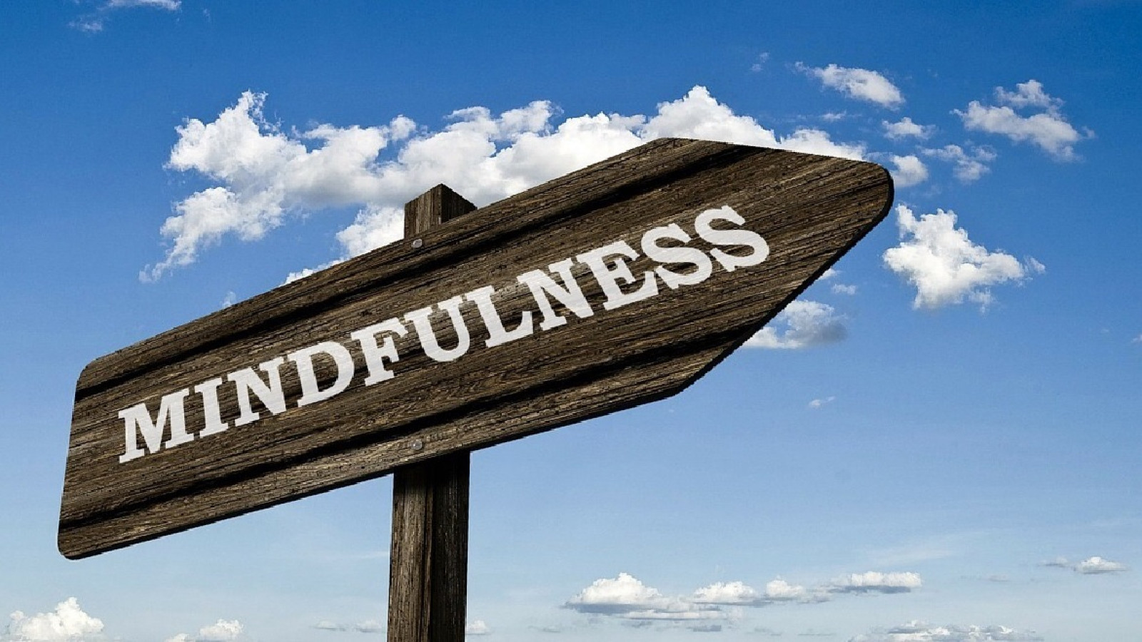 Habilidades Mindfulness