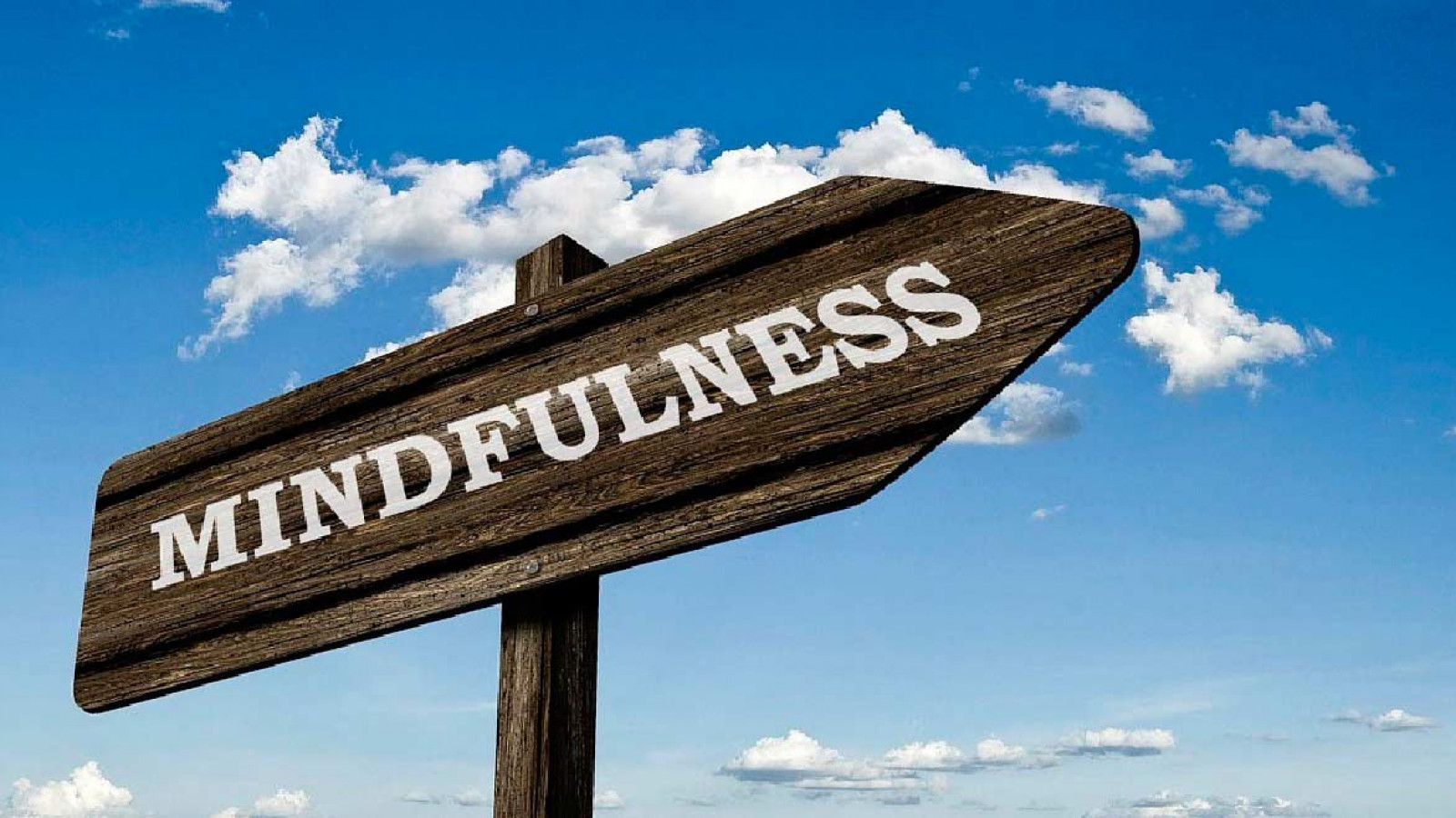 Habilidades mindfulness