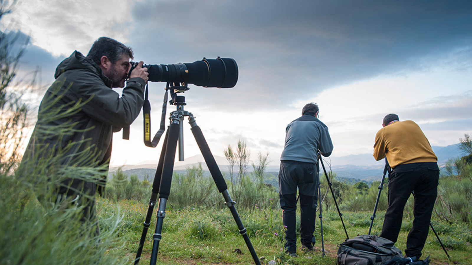 Iniciación a la fotografía y vídeo de la naturaleza con cámaras DSLR