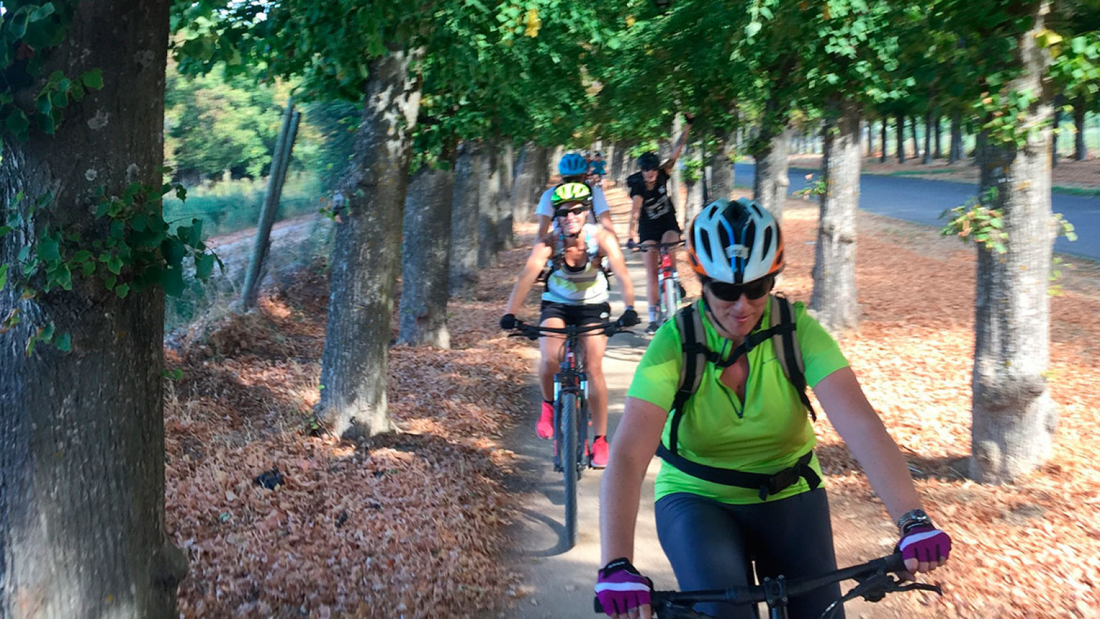 Bosques emblemáticos de la Comunidad de Madrid en bicicleta