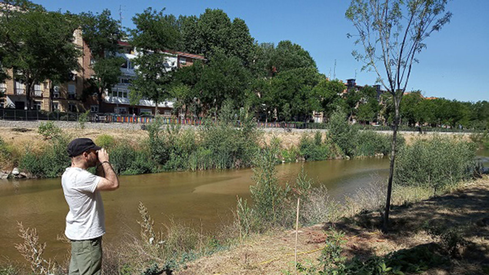 Laboratorio de ecología urbana