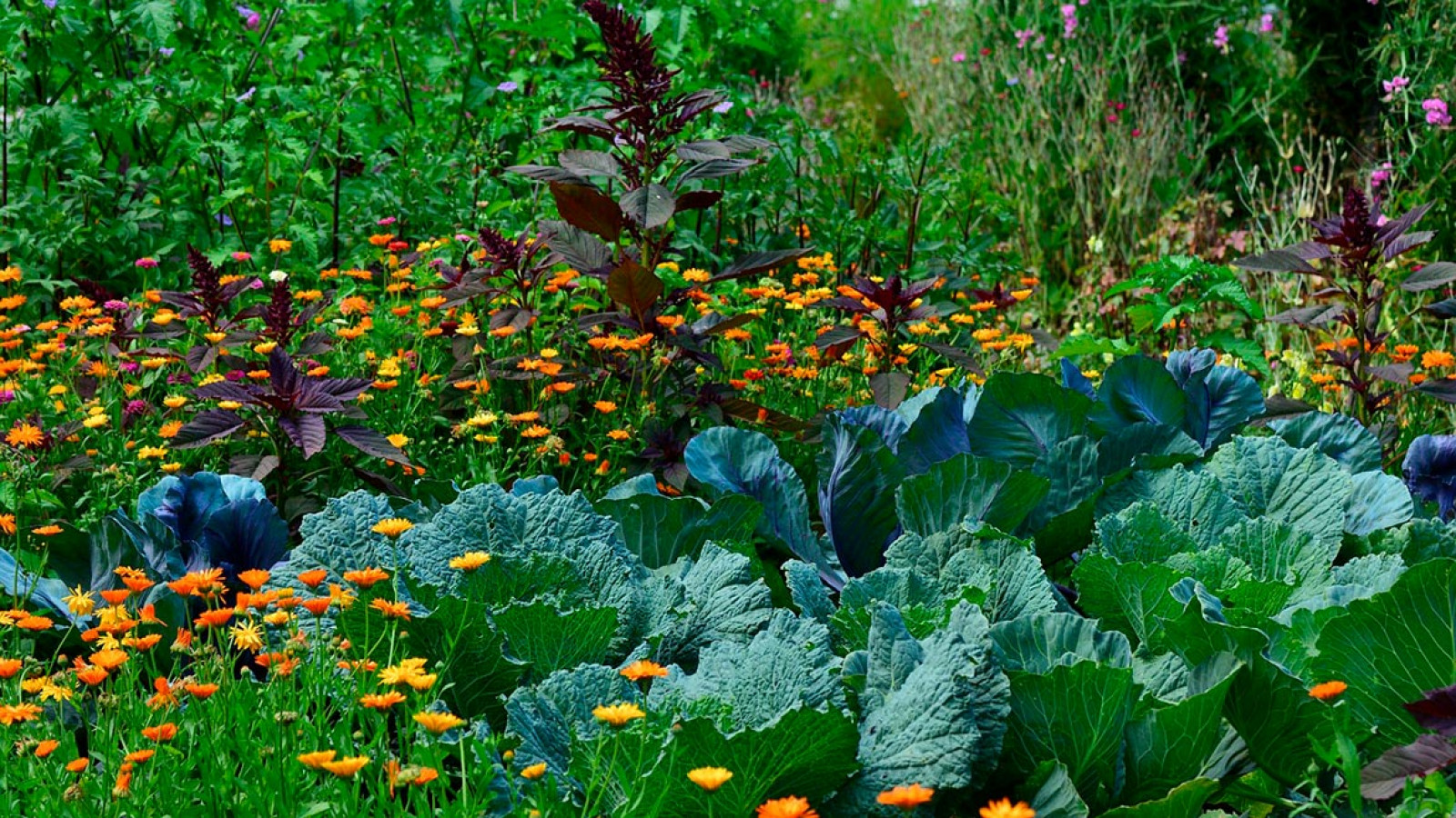 Agroecología, soberanía alimentaria y cooperación al desarrollo