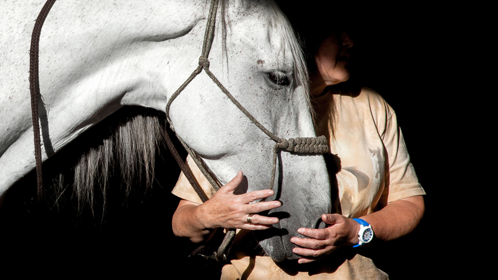 Educación asistida por caballos. Comunicación Interespecies 2021