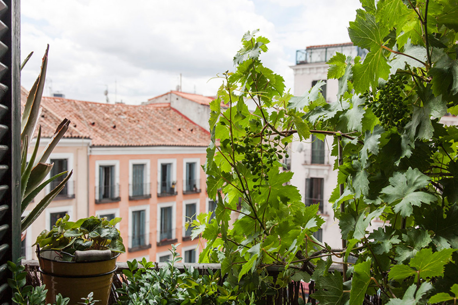 Mi balcón: un jardín en menos de 1 m2