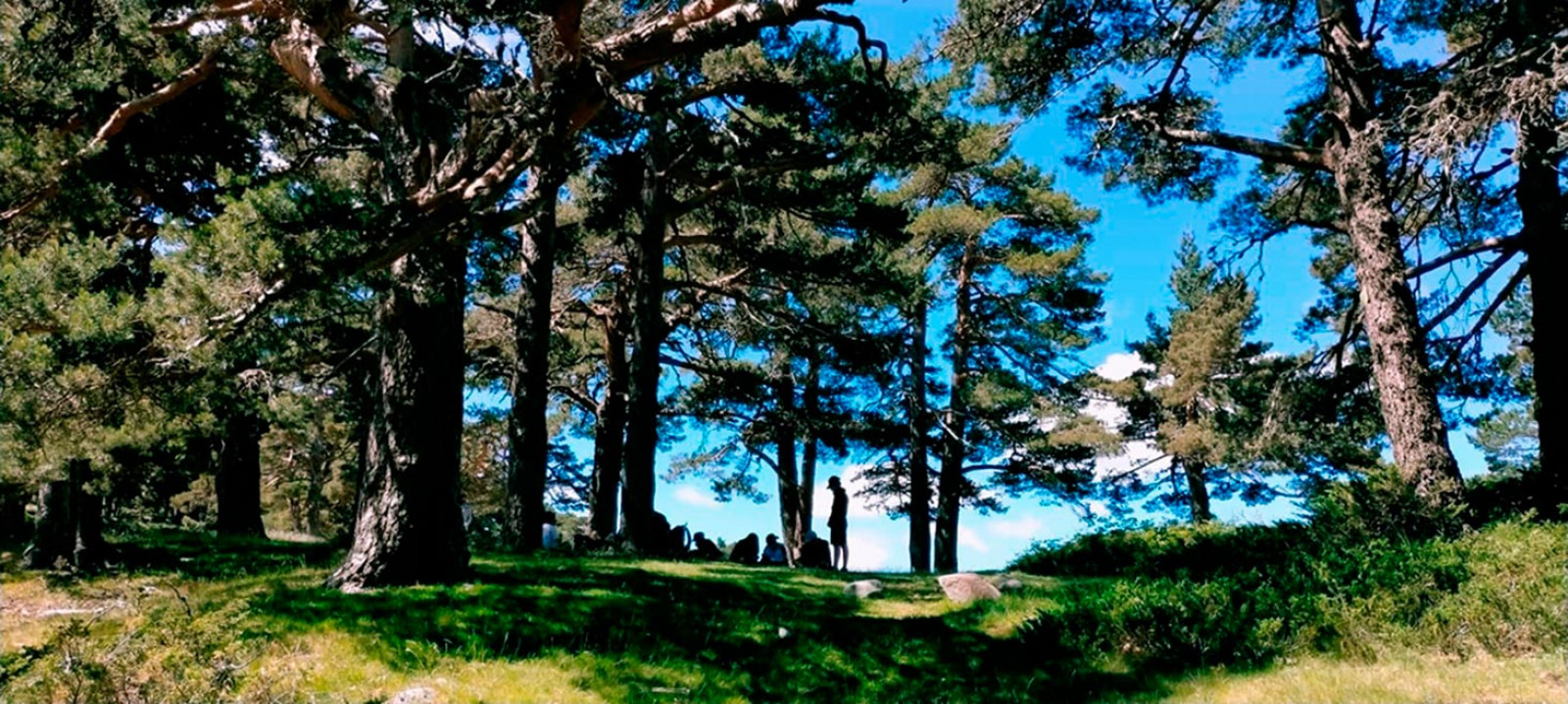 Campamento 'Descubre tu naturaleza'