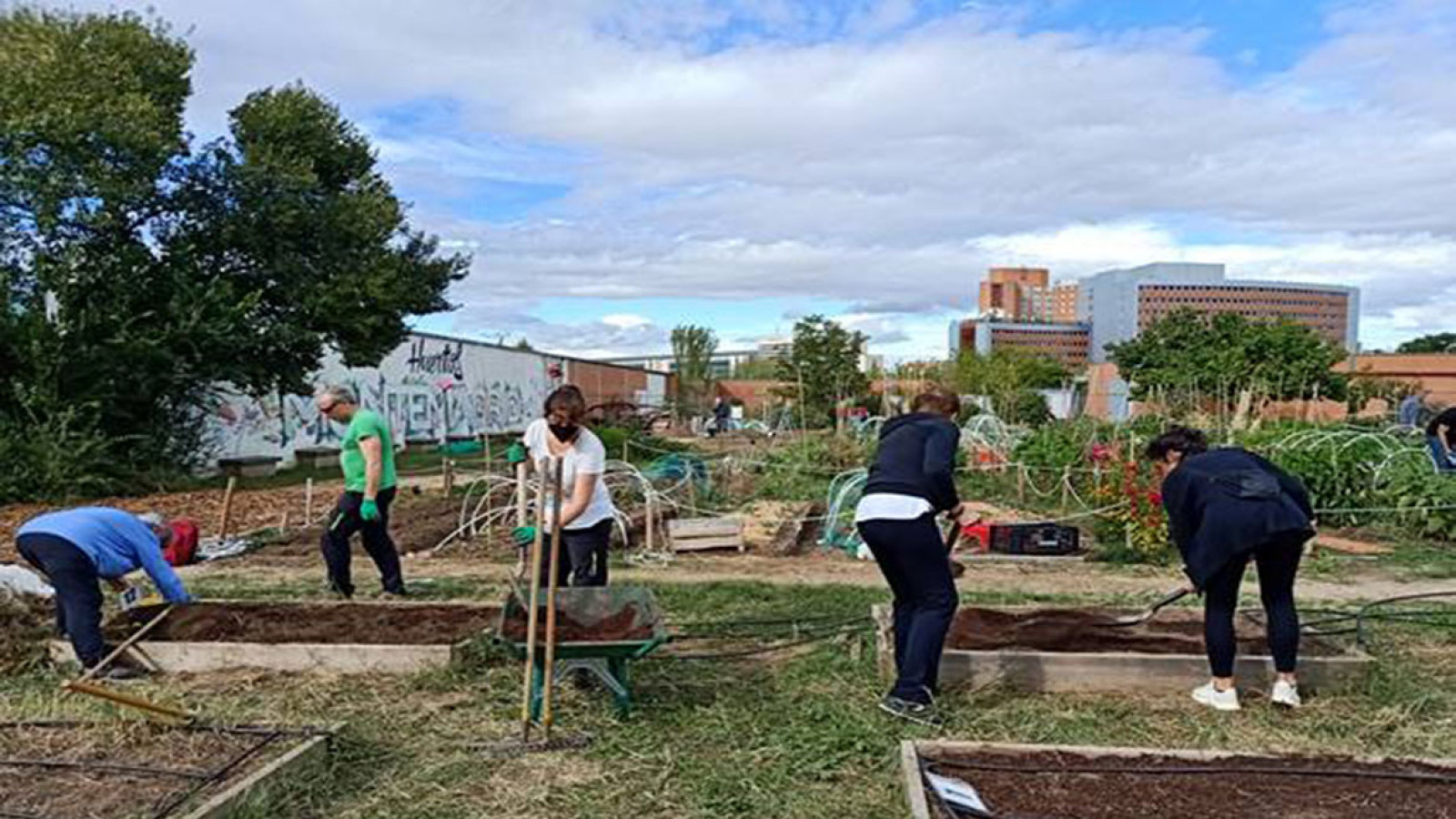 Cultiva tu ciudad, cultiva en tu ciudad